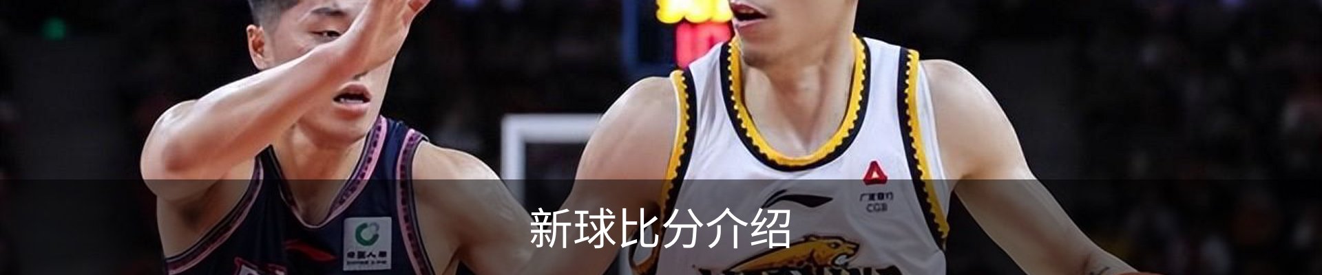 新球比分介绍